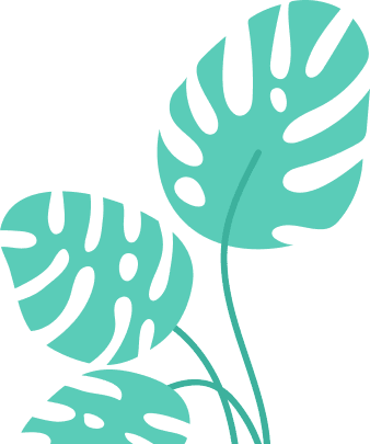 Slide Free Background